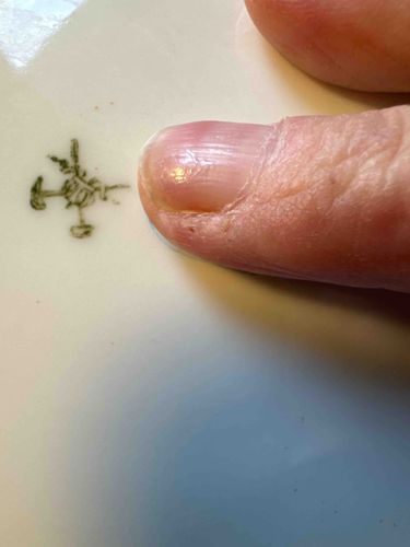 Meissen Crossed Swords Porcelain Mark