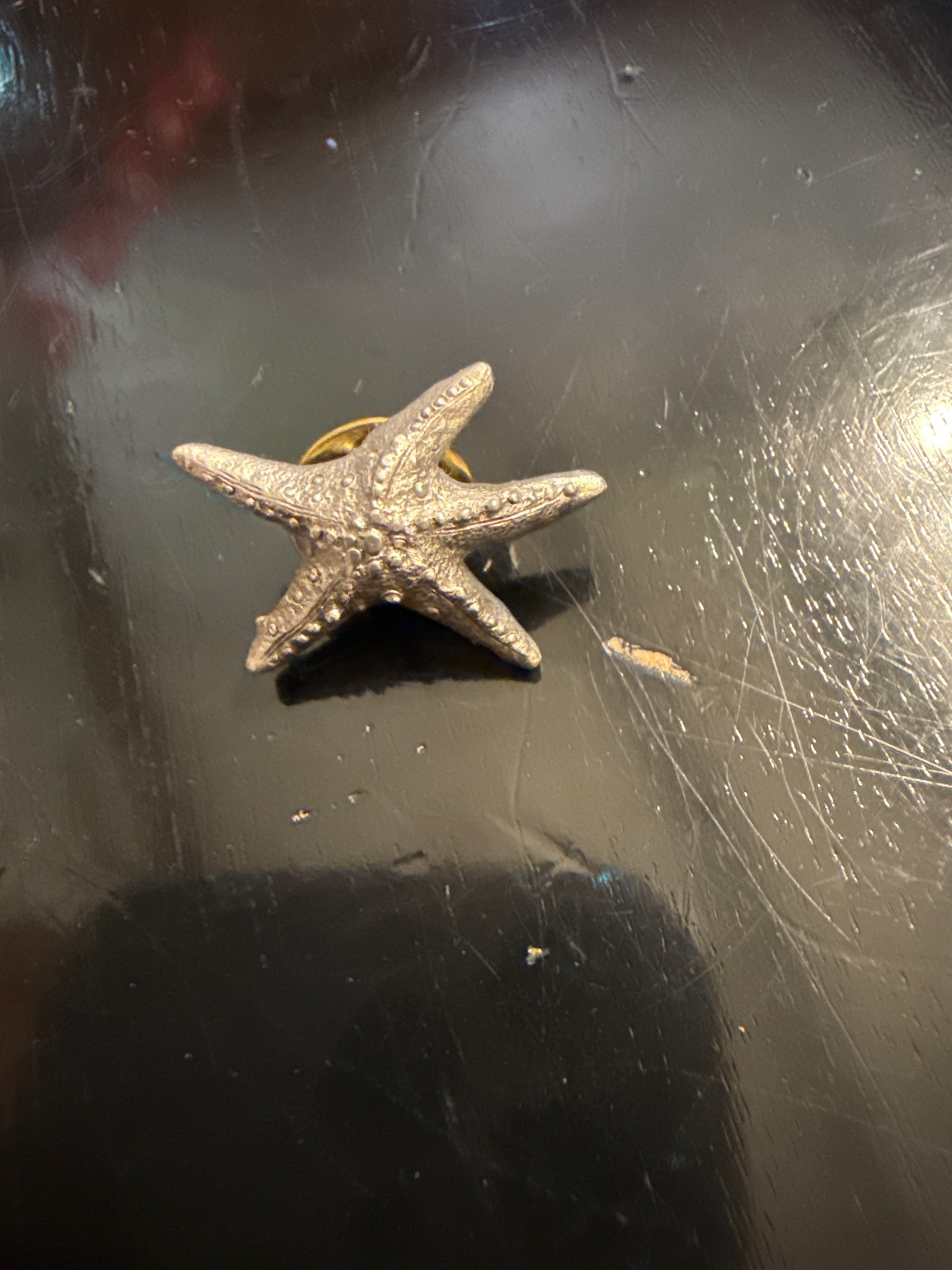 Submitted photo of Starfish lapel pin