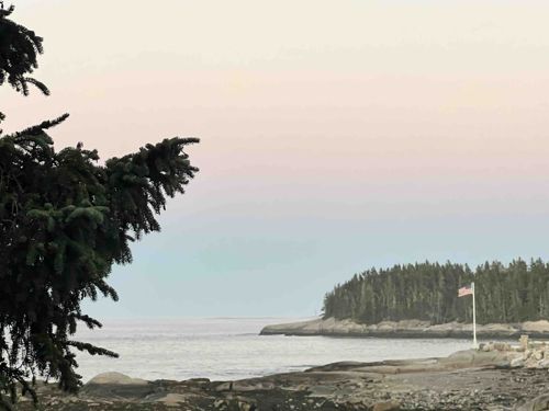 Coastal Landscape with Evergreen Tree and American Flag