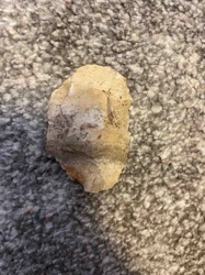 Stone Tool/Lithic Flake