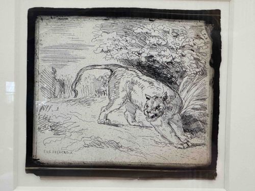 Crouching Feline (Lioness or Puma) Print, Attributed to Eugène Delacroix