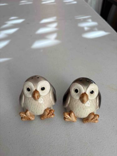 Vintage Anthropomorphic Owl Salt and Pepper Shaker Set