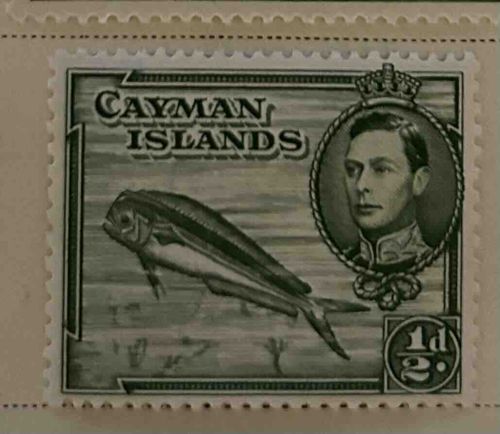 Cayman Islands 1 1/2d Stamp featuring King George VI and Dolphin-Fish