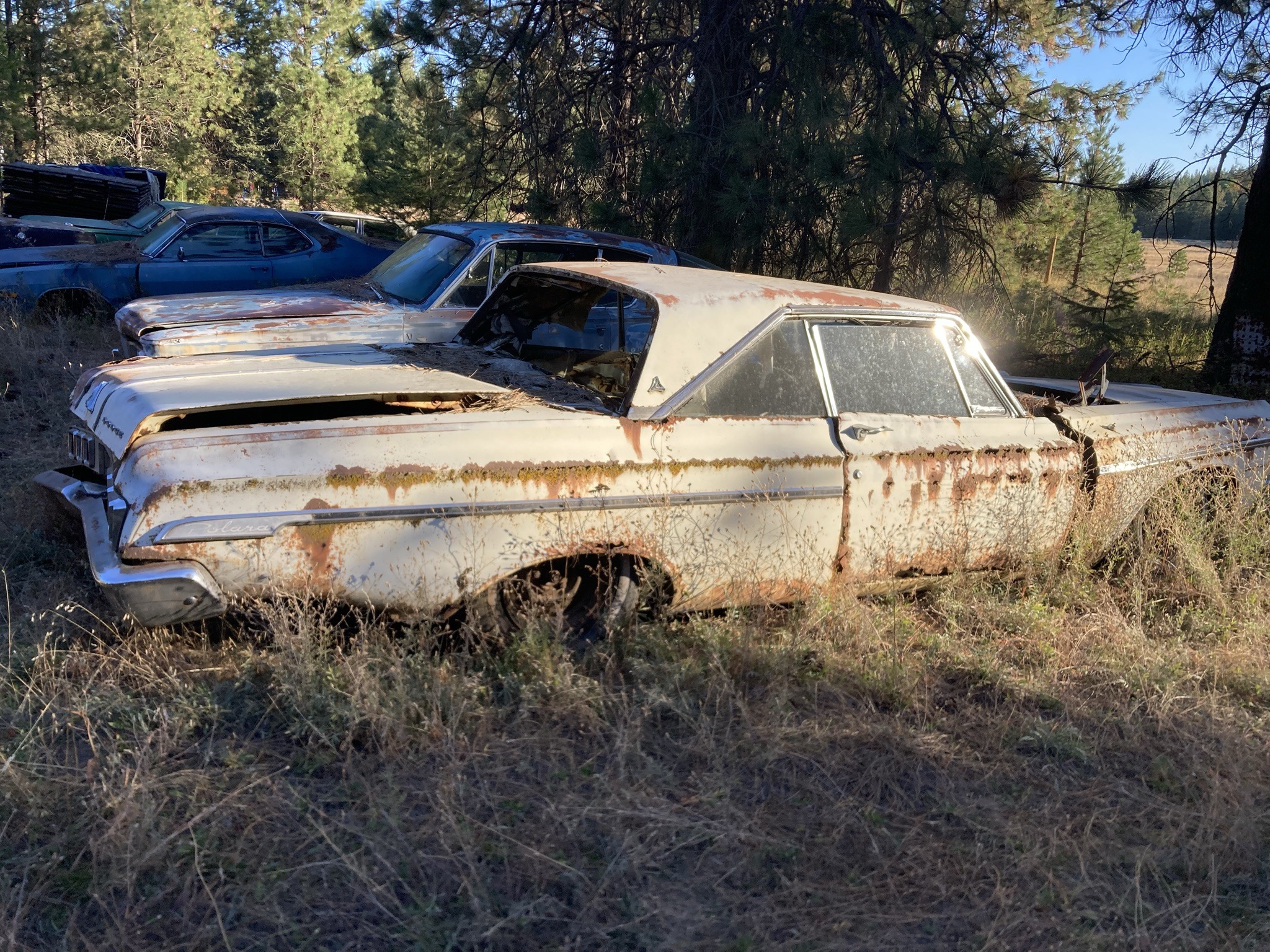 Submitted photo of Dodge Polara two-door hardtop (unverified)