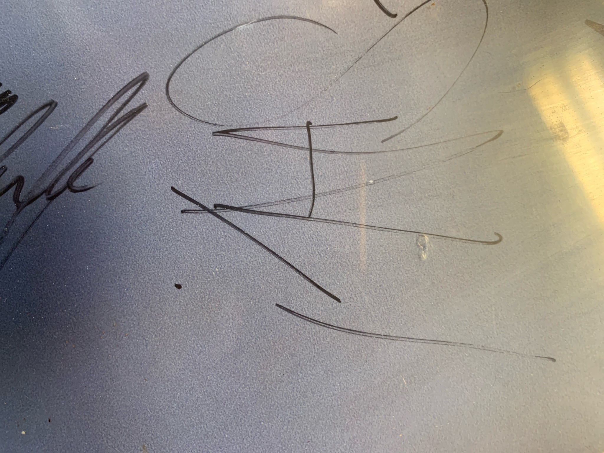 Submitted photo of Signed surface featuring handwritten autographs (not authenticated)