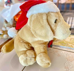 Christmas Musical Plush Dog with Santa Hat