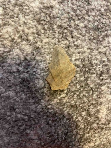Stone Projectile Point Fragment