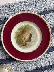Vintage Fish Themed Decorative Plate with Burgundy Rim