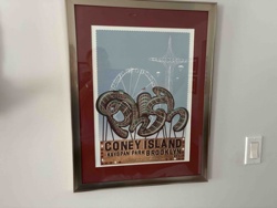 Framed 'Coney Island' Art Print