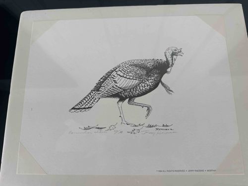 Wild Turkey Pen and Ink Print by Jerry Raedeke