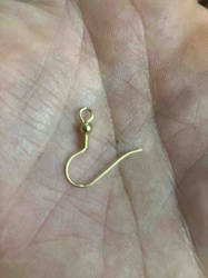 Earring Hook