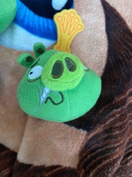 Angry Birds Green Minion Pig Plush Toy