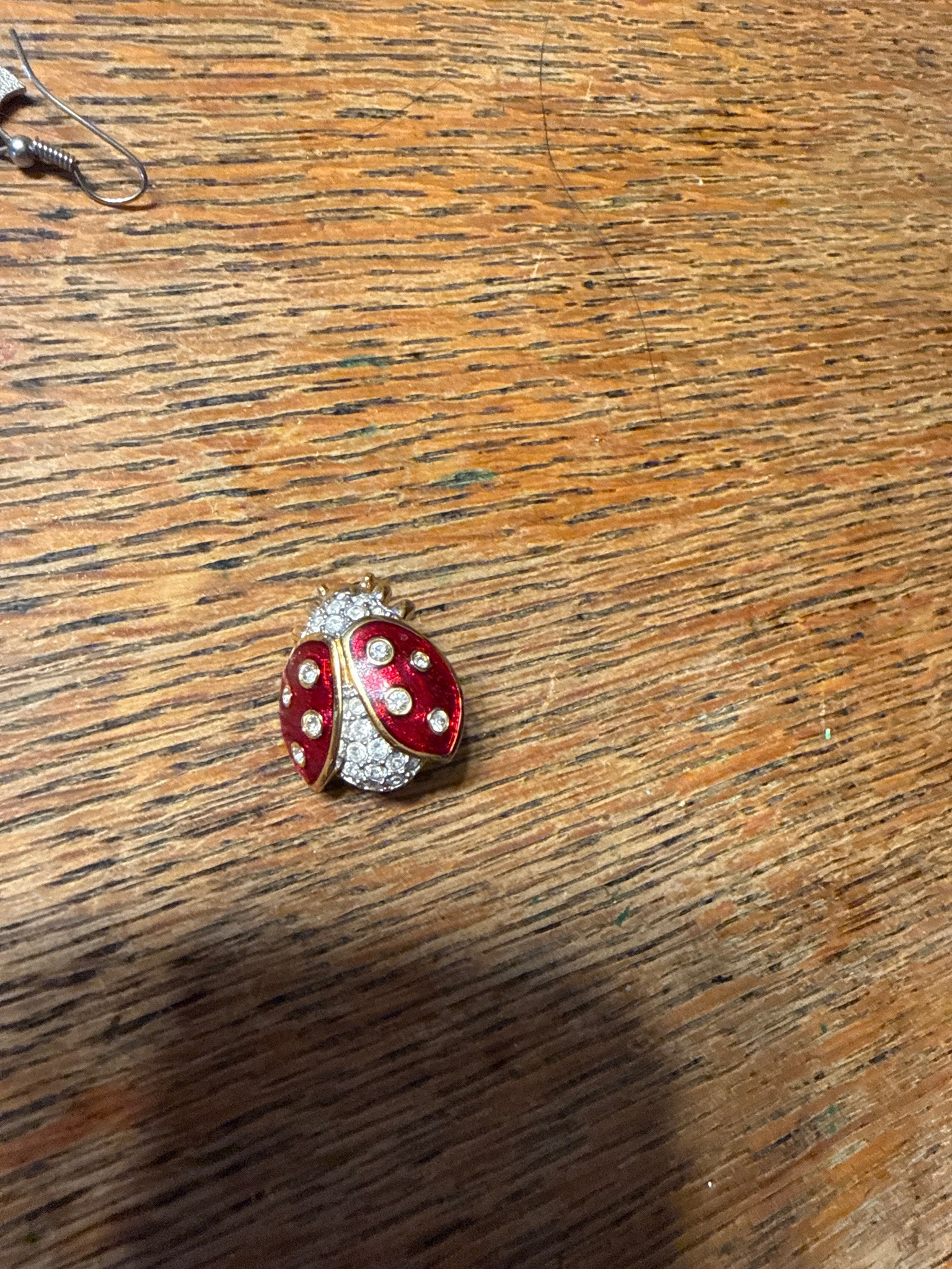 Submitted photo of Enamel and rhinestone ladybug brooch