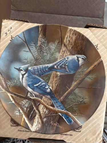 Kevin Daniel Blue Jay Collector Plate