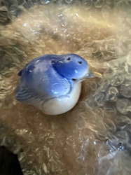 Blue Bird Ceramic Salt Shaker