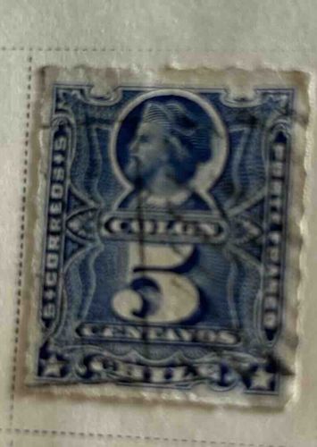 Spanish Colonies 5 Centavos Postage Stamp, depicting Christopher Columbus (Colon)
