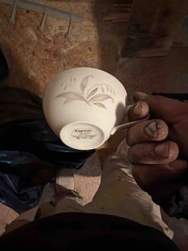 Kaysons Fine China Teacup - Golden Rhapsody Pattern