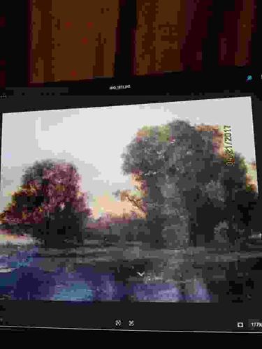 Landscape Study attributed to Alexei Kondratyevich Savrasov