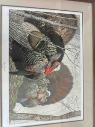 Wild Turkey "April Romance" Framed Print