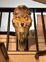 Painted Animal Skull with Wolf Motif