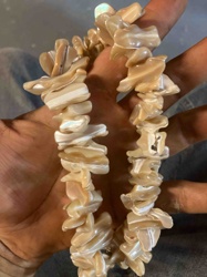 Natural Shell Chip Necklace