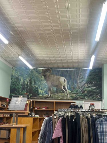 Commercial Interior with Faux Tin Ceiling and Bighorn Sheep Mural