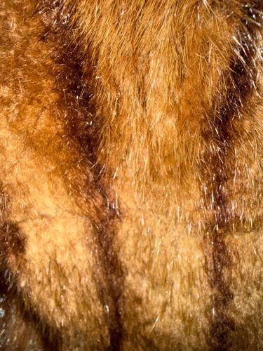 Vintage Faux Fur Fabric / Garment Section