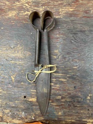 Antique Sheep Shears