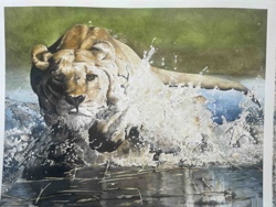 Watercolor Lioness Running Through Water