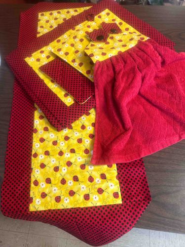 Coordinated Ladybug and Polka Dot Kitchen Linens Set