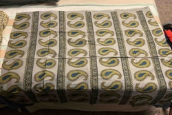 Printed Paisley and Stripe Textile