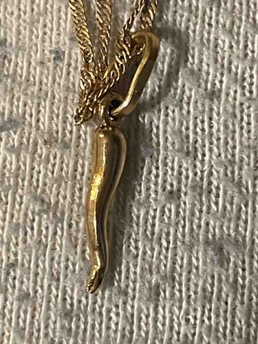 Gold Italian Horn Pendant