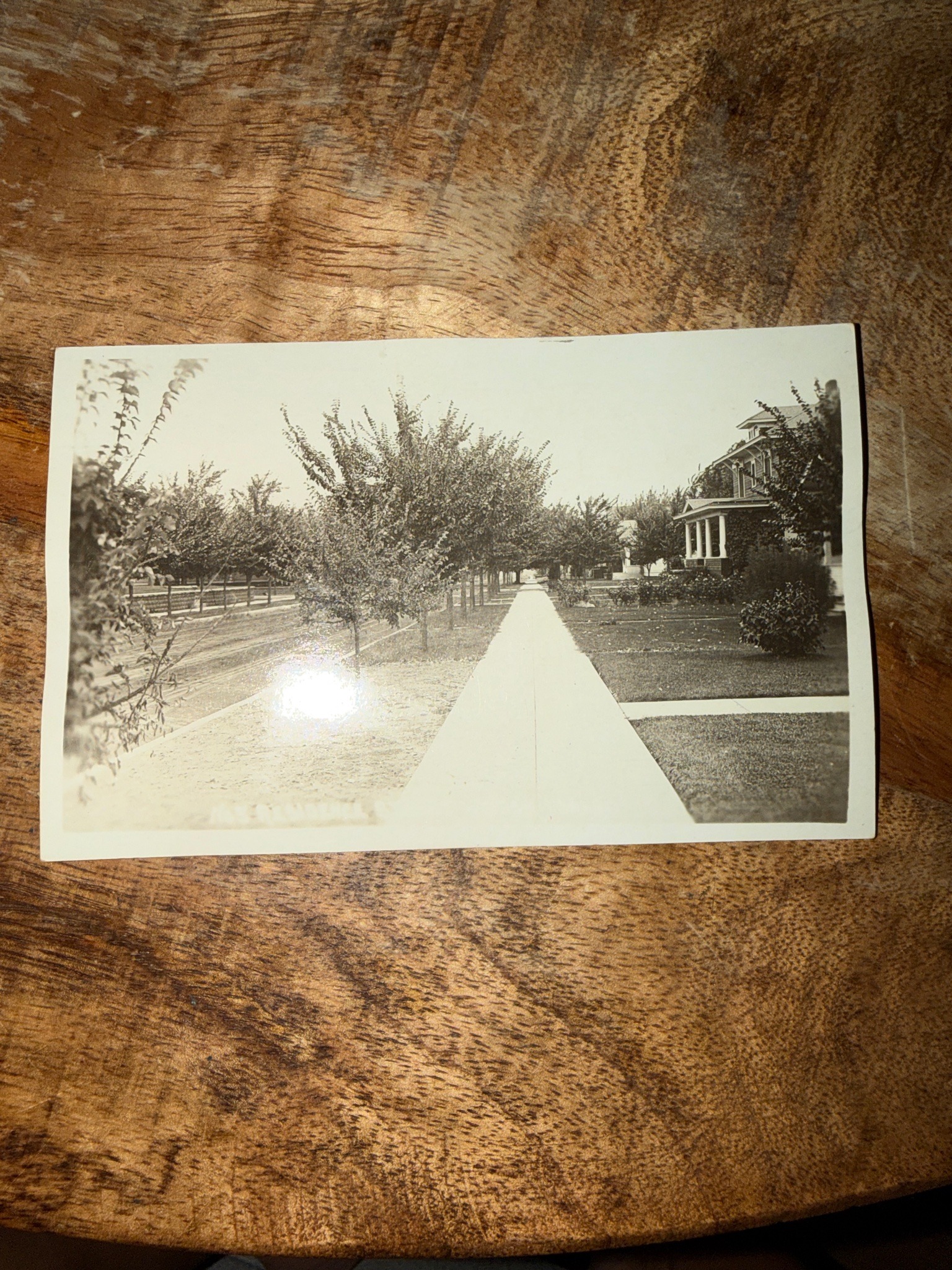 Submitted photo of Vintage black and white photographic postcard
