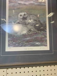 Under The Wing - Snowy Owl Art Print by M. Pleiner (Limited Edition 250/250)