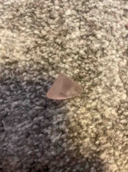 Pale Pink Tumbled Gemstone (Likely Rose Quartz)