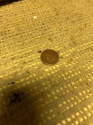 United States Indian Head Cent