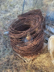 Rolls of Heavily Rusted Barbed Wire