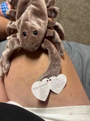 Stinger the Scorpion Beanie Baby