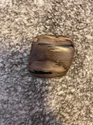 Polished Banded Stone (Likely Petrified Wood or Jasper)