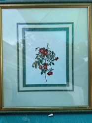 Framed Botanical Print of Red Roses