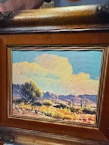 Framed Desert Landscape Painting