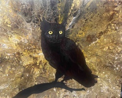 Mystic Owl Acrylic Painting