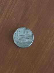 Kyrgyzstani 1 Som Coin