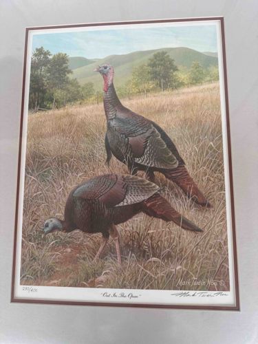 Out In The Open by Mark Twain Noe Print