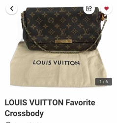 Louis Vuitton Favorite MM Monogram Canvas Crossbody Bag