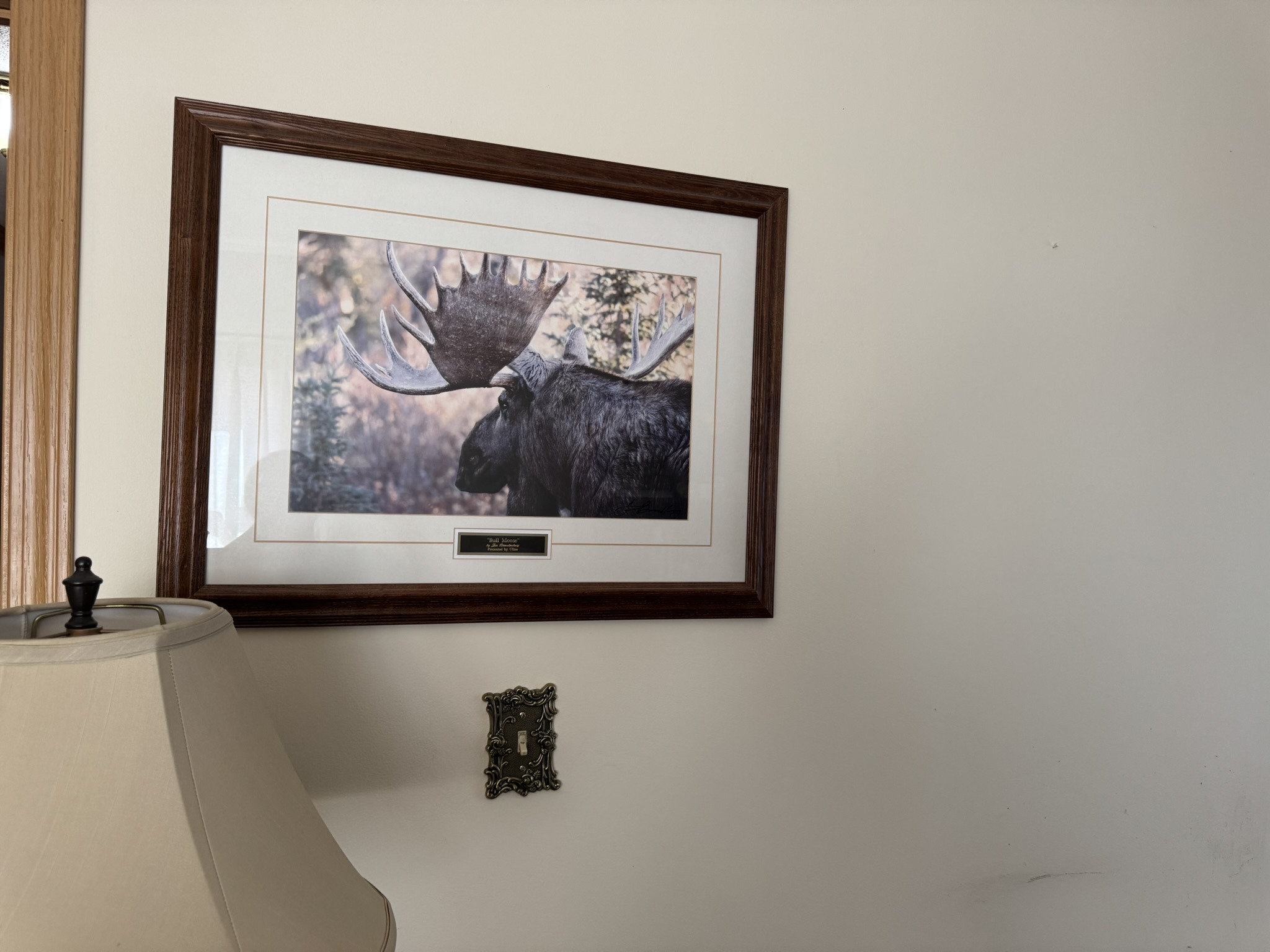 Submitted photo of Framed wildlife photograph signed 'Jim Brandenburg' (not authenticated)