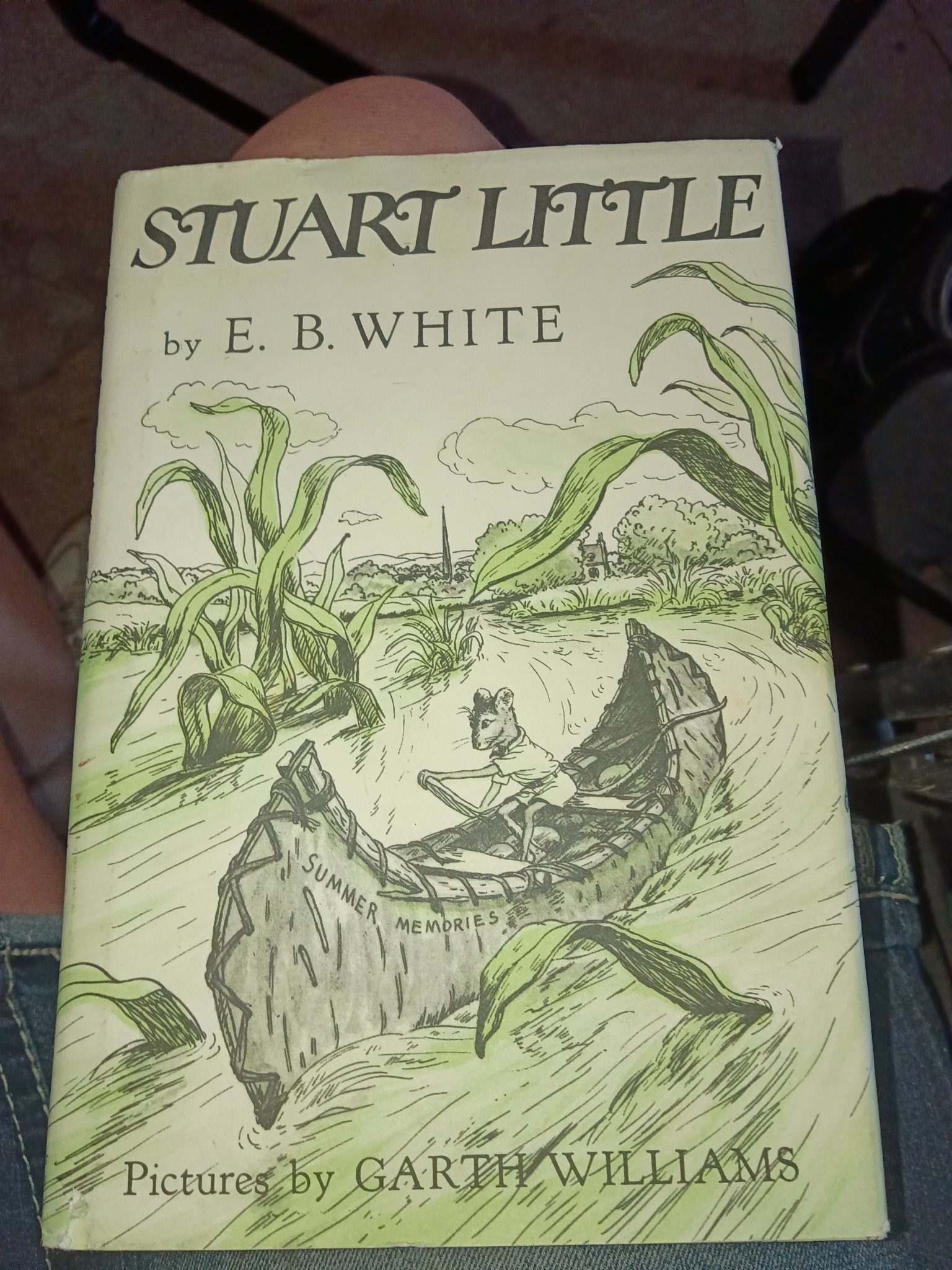 Submitted photo of Hardcover children's book titled Stuart Little