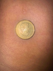 2019 Canadian Loonie (One Dollar Coin)