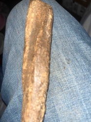 Petrified Bone Fragment
