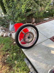 Motorcycle Front Wheel Assembly with Tire and Brake Rotor